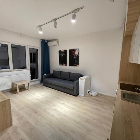 Amethyst Luxury Apartment Palace ブカレスト エクステリア 写真