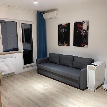 Amethyst Luxury Apartment Palace ブカレスト エクステリア 写真