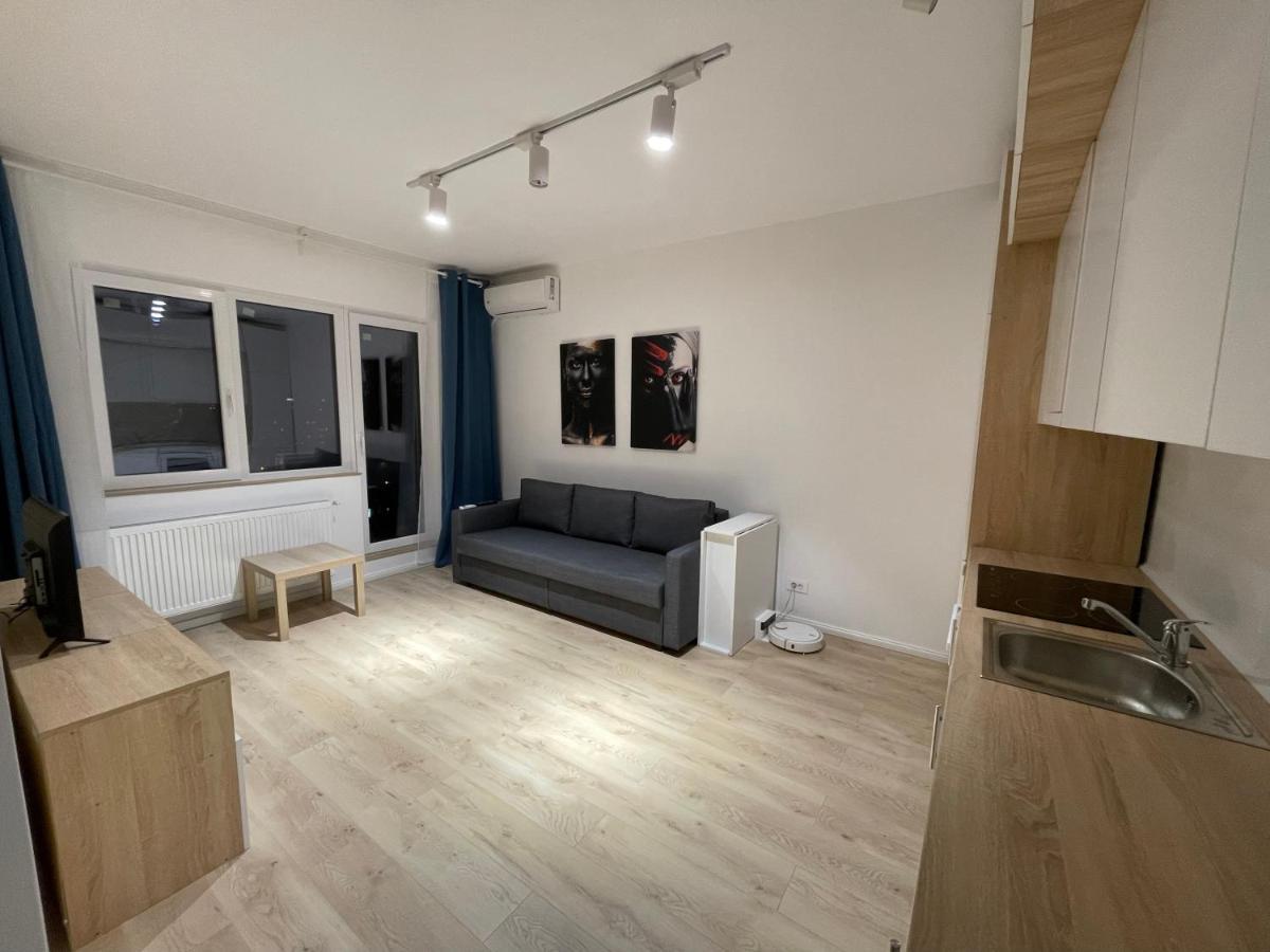 Amethyst Luxury Apartment Palace ブカレスト エクステリア 写真