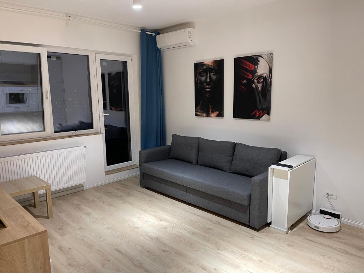 Amethyst Luxury Apartment Palace ブカレスト エクステリア 写真