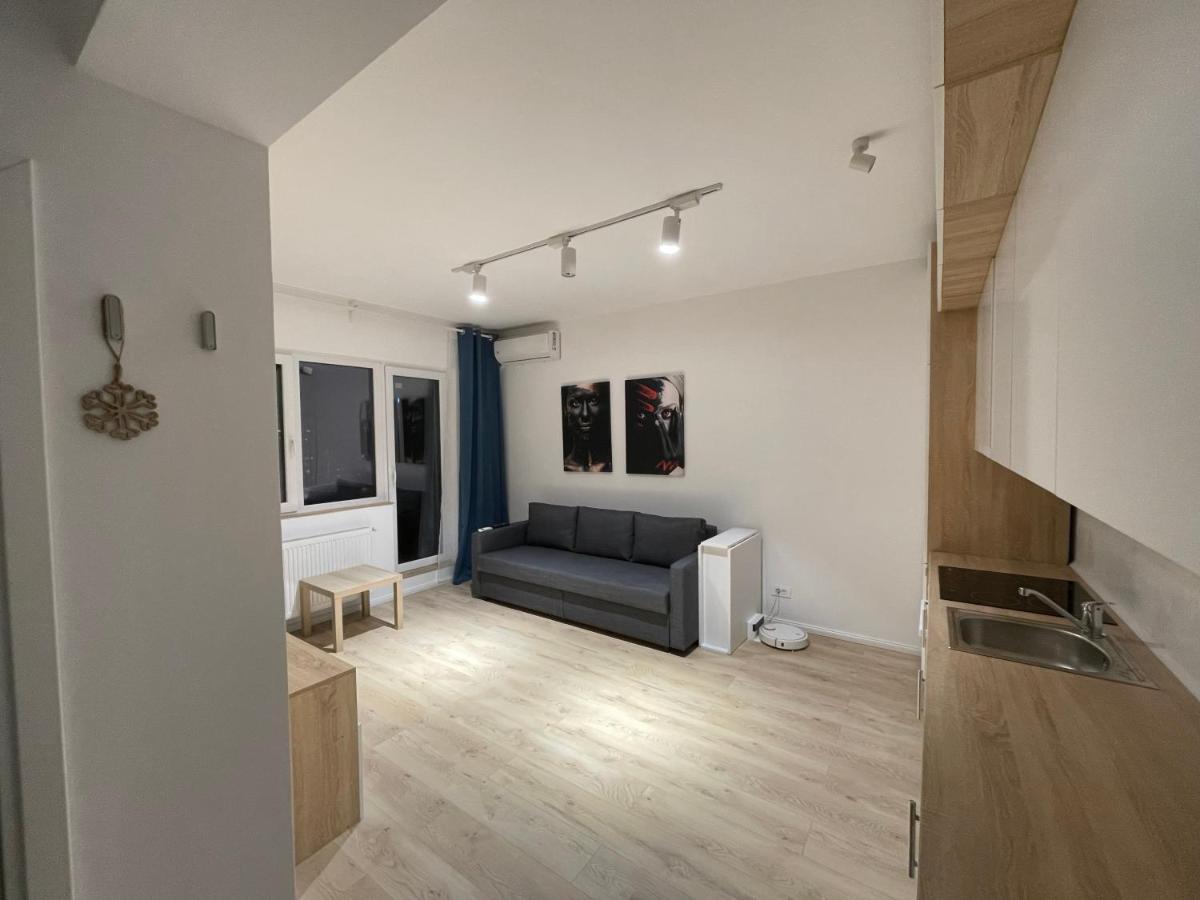 Amethyst Luxury Apartment Palace ブカレスト エクステリア 写真